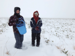 初冬のサロベツ原野で現地調査